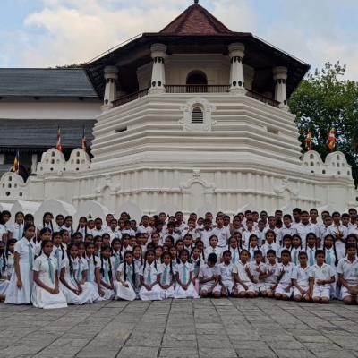 6b2319cf 0138 4623 8277 7c26fa3e2283