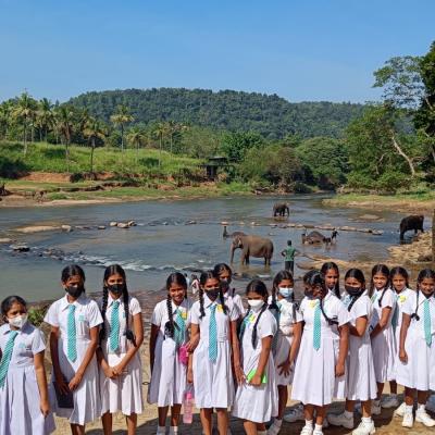 Fa95c5e4 Aa62 4b24 B4c2 E9b541cadb3a