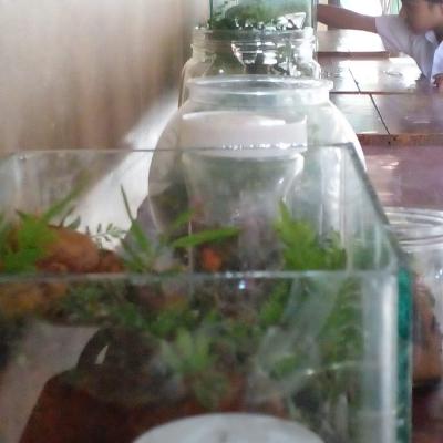 Whatsapp Image 2023 12 20 At 14.51.12