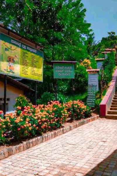 Whatsapp Image 2025 03 29 At 07.01.10